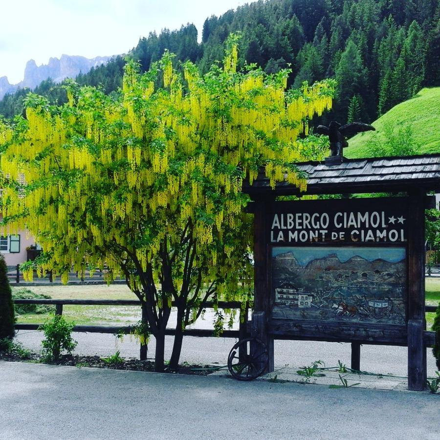 Hotel Ciamol Campitello di Fassa Exterior foto